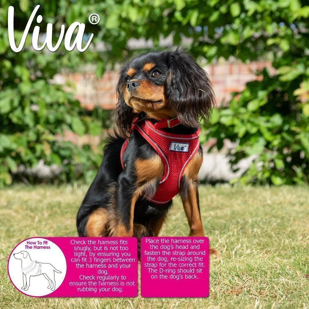 Ancol Viva Large Red Comfort Mesh Dog Harness