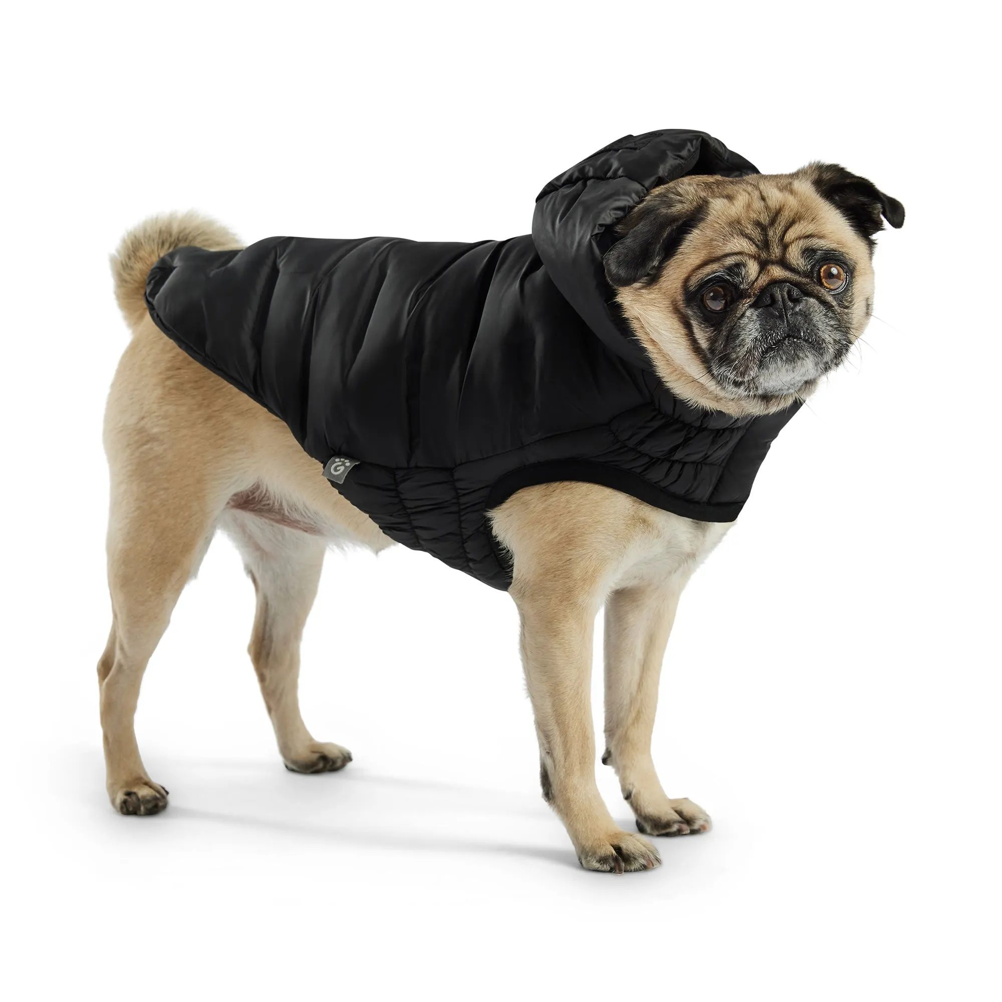 Cloud Parka Dog Winter Puffer Coats