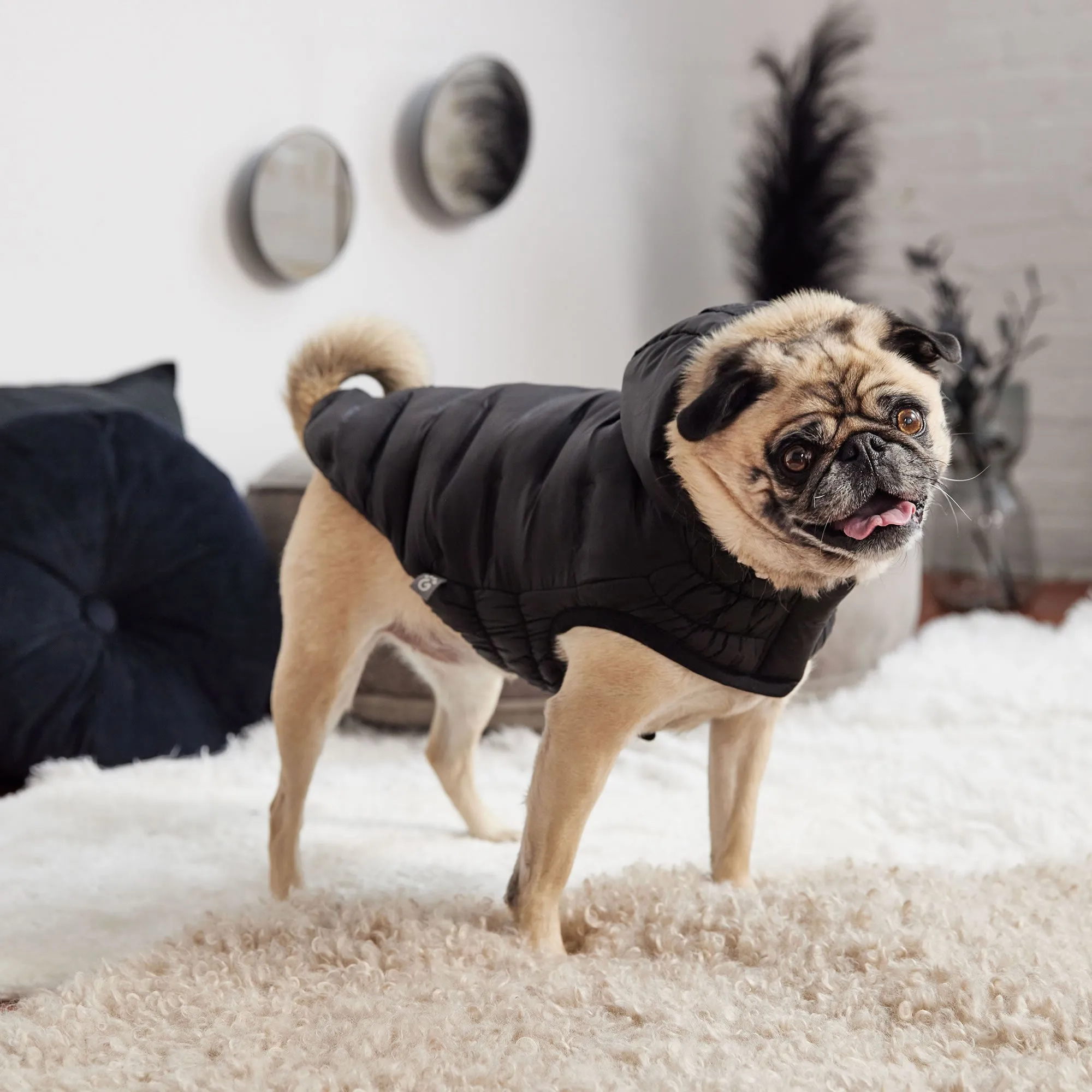 Cloud Parka Dog Winter Puffer Coats