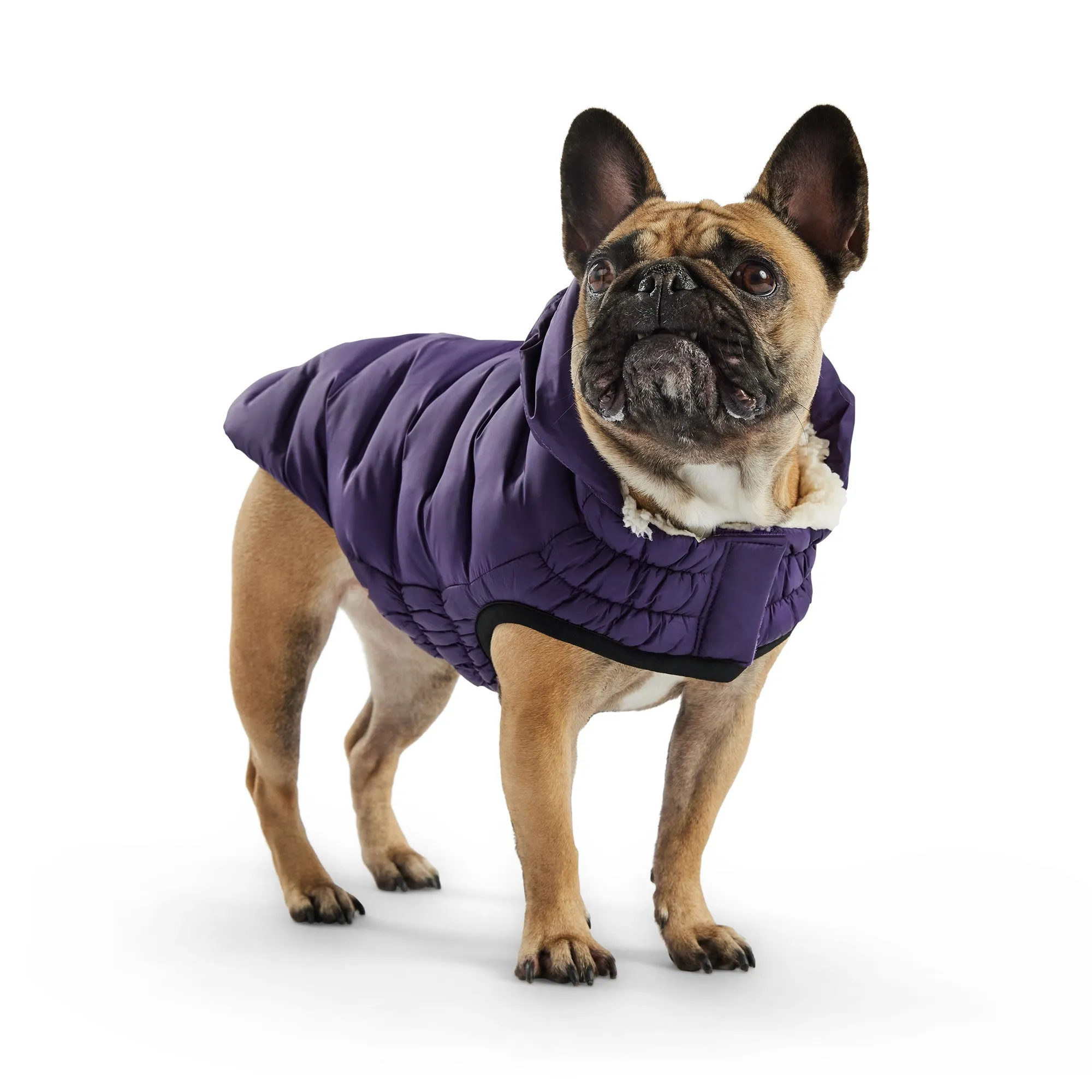 Cloud Parka Dog Winter Puffer Coats