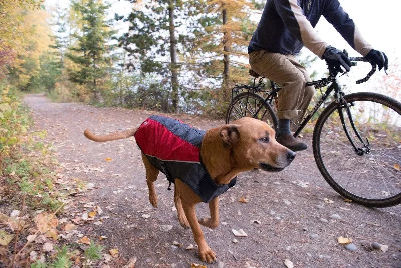 EzyDog Element Dog Winter Jacket