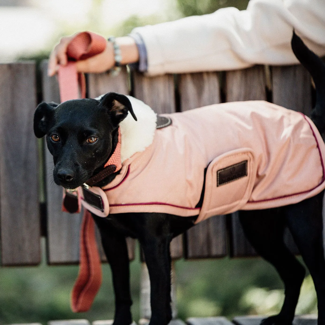 Kentucky Dogwear Waterproof Dog Coat - Coral