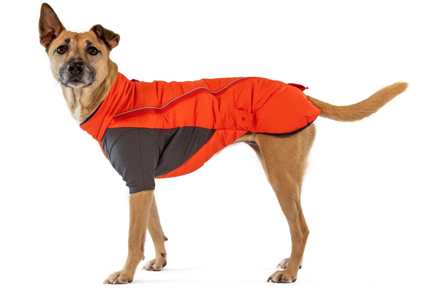 Ruffwear Ultrawarm Furness Dog Winter Jacket