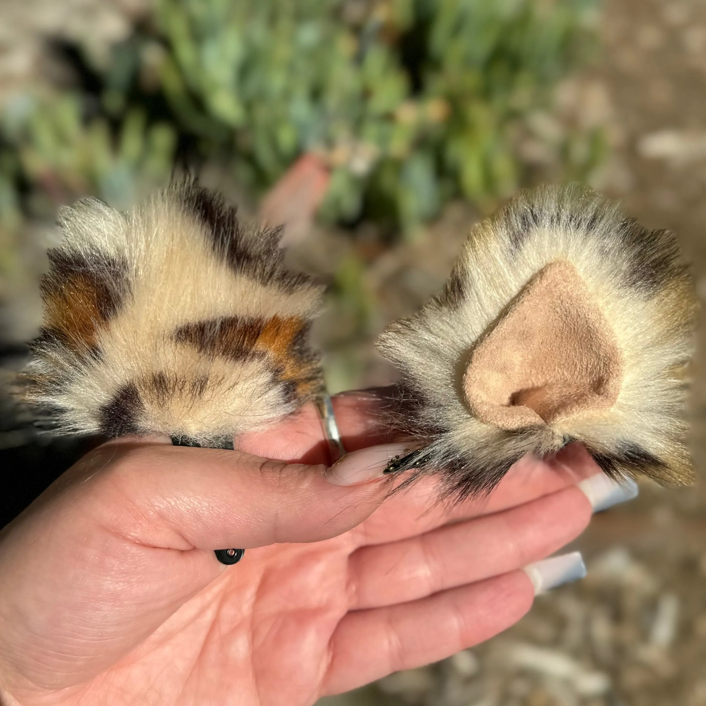 Uggdorable Ears