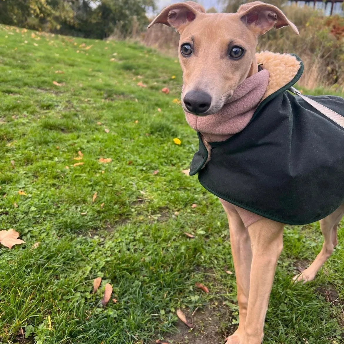 Wax Jacket for Whippets